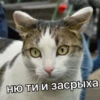 Catsuporolsya 8