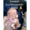 lo papu 5