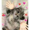 ✨❤️💖Nya 2!✨❤️💖 10