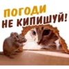 animalSmile 14