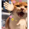 ✨❤️💖Nya 2!✨❤️💖 13