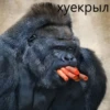 cringegorillas 8
