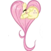 MY LITTLE HEART 17