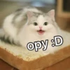 Catsuporolsya 11