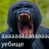 cringegorillas 11