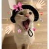 ✨❤️💖Nya 2!✨❤️💖 16