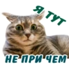 animalSmile 18