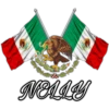 ★🇲🇽Viva México🇲🇽 11