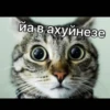 Catsuporolsya 13