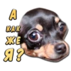 animalSmile 22