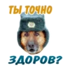 animalSmile 23