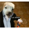 lo papu 15