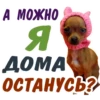animalSmile 24