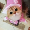 Catsuporolsya 16