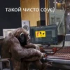 cringegorillas 19