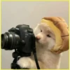 Perritos bonitos💞2🇵🇪Clásica 23