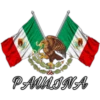 ★🇲🇽Viva México🇲🇽 18