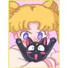 Gatitos💞5🇵🇪Clásica 23