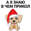 naughty 24