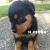 Catsuporolsya 19