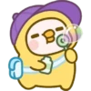 Bebê papagaio 11