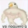 lo papu 26