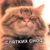 Catsuporolsya 23