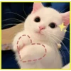 Gatitos💞4🇵🇪Clásica 28
