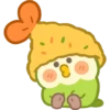 Bebê papagaio 13