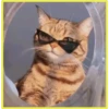 Gatitos💞4🇵🇪Clásica 29