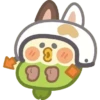 Bebê papagaio 14