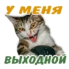 animalSmile 30