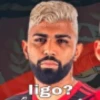 flamengo memee 2