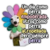 Persy Un día como perra empoderada, otros como perra atropellada. Pero siempre perra