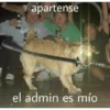 soy admin 5