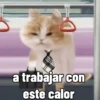 Michis con calor 🥵🥵 5