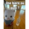 Ternurines en francés 7
