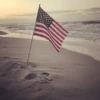 American vibes 5