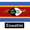 African Flags-1 7