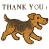 Welsh / Airedale Terrier by the Atelier Dog 5
