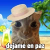 Michis con calor 🥵🥵 6