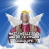 papa león XIV 7
