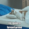 Michis con calor 🥵🥵 7