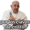 papa Francisco 😎 7