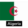 African Flags-1 9