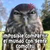 Persy imposible compartir el mundo con gente como tú