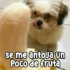 Persy se me antoja Un Poco de fruta