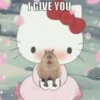 Capibara Random 🍉 9