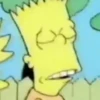 SimpsV #-1 11