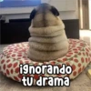Persy ignorando tu drama